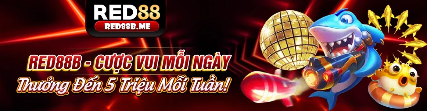 Minh họa các loại cookie mà da88 app sử dụng