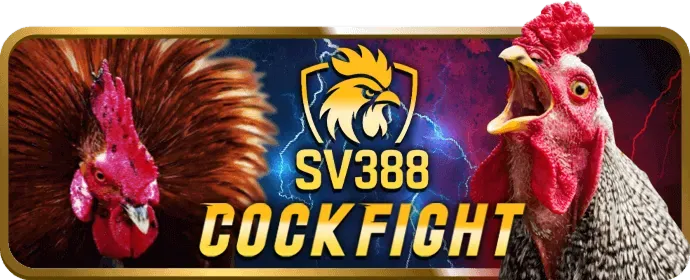 Hỗ trợ qua điện thoại của da88 app